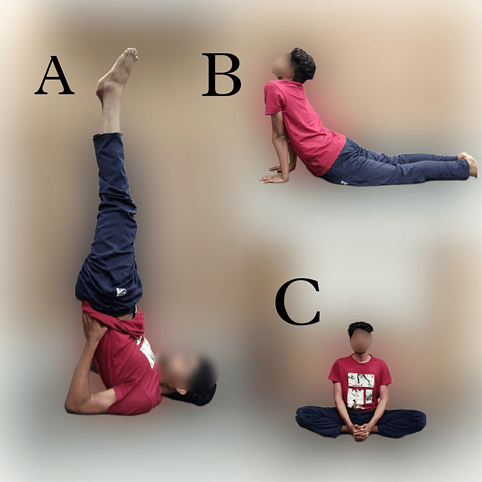 Acroyoga | Beginner's Guide to Yoga & Acrobatics - Fresh Hobby