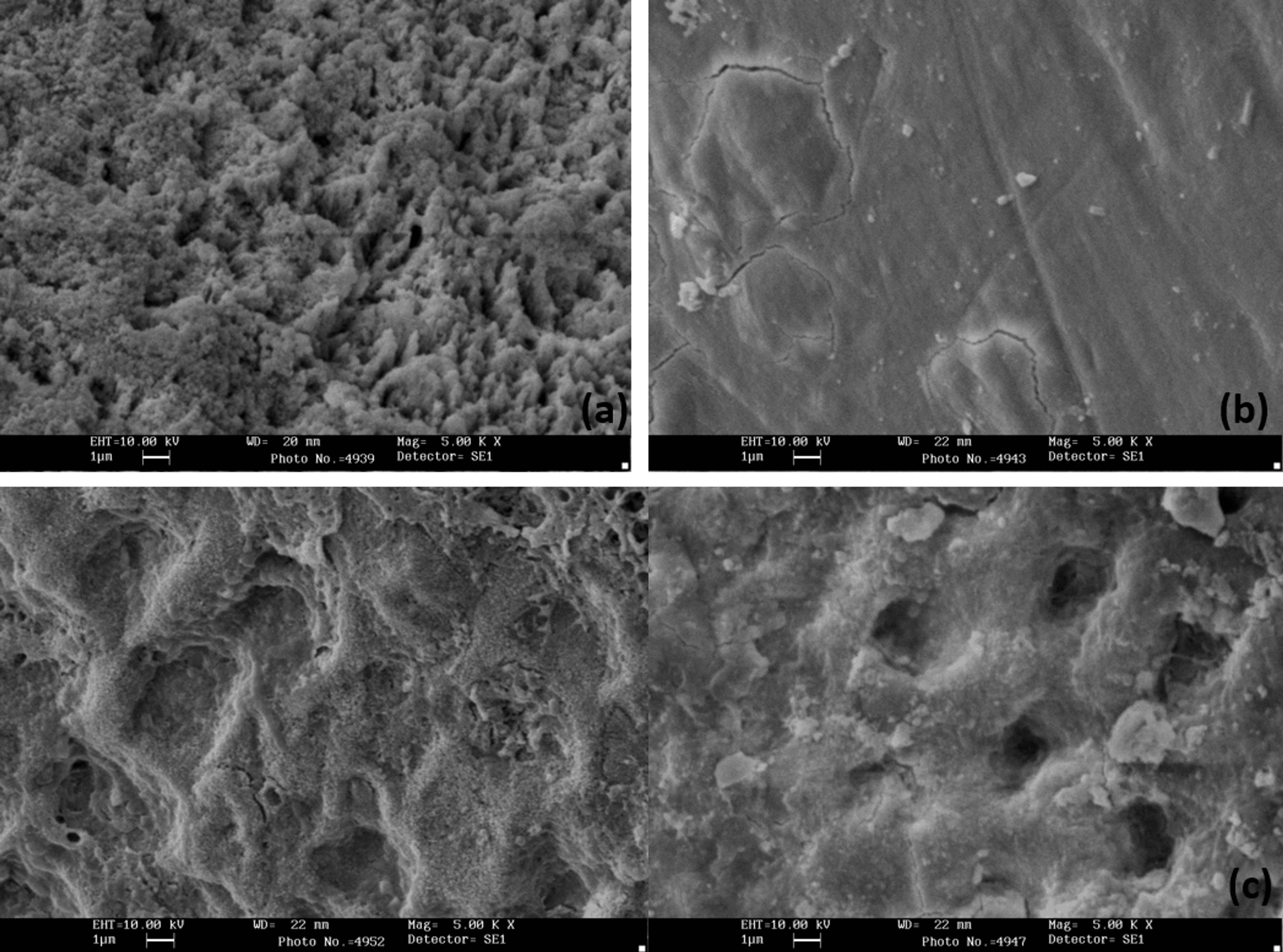 Effectiveness of Different Etching Agents on Enamel Surface and Shear