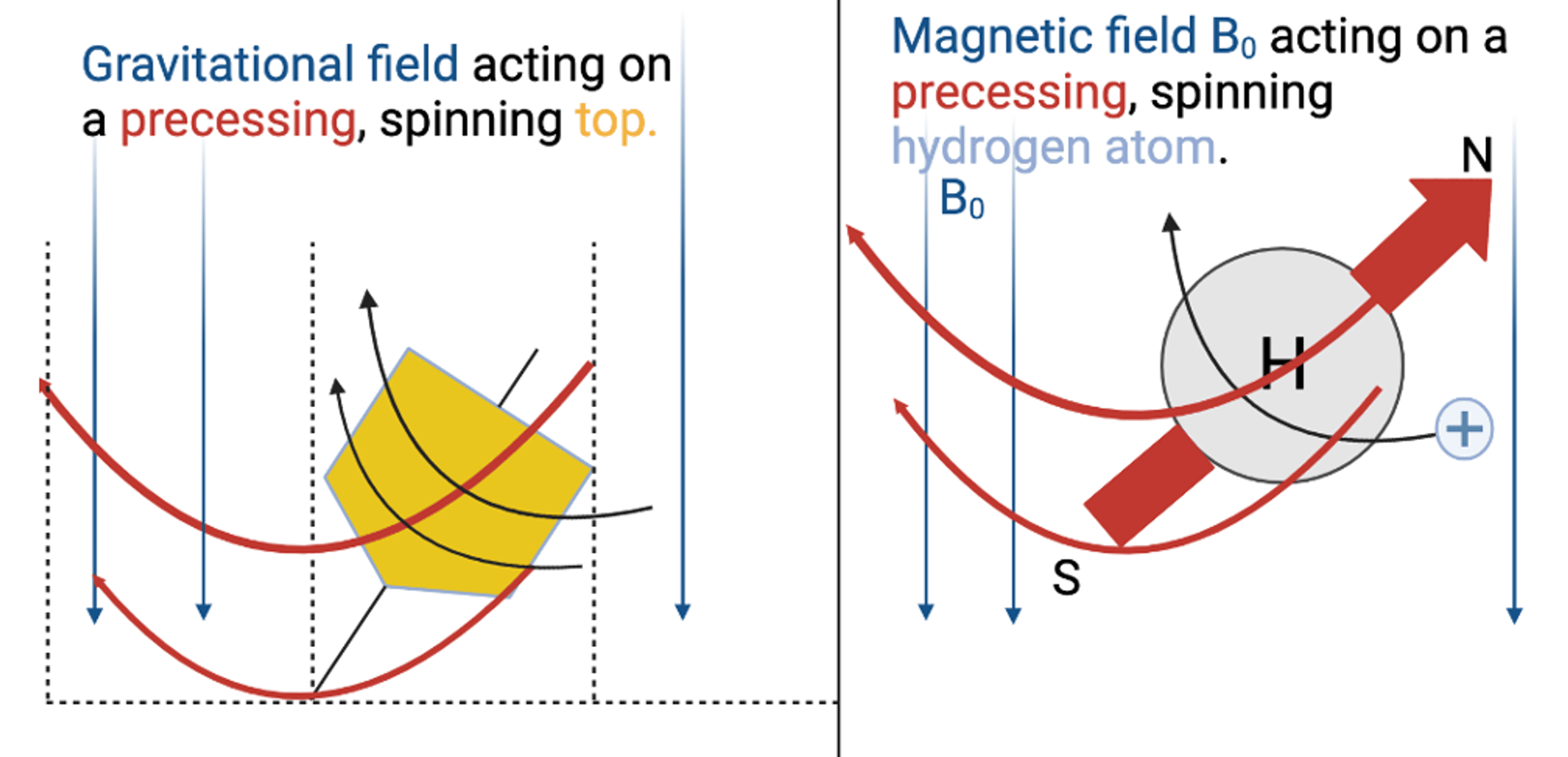 Cardiac MRI An Overview of Physical Principles With Highlights of
