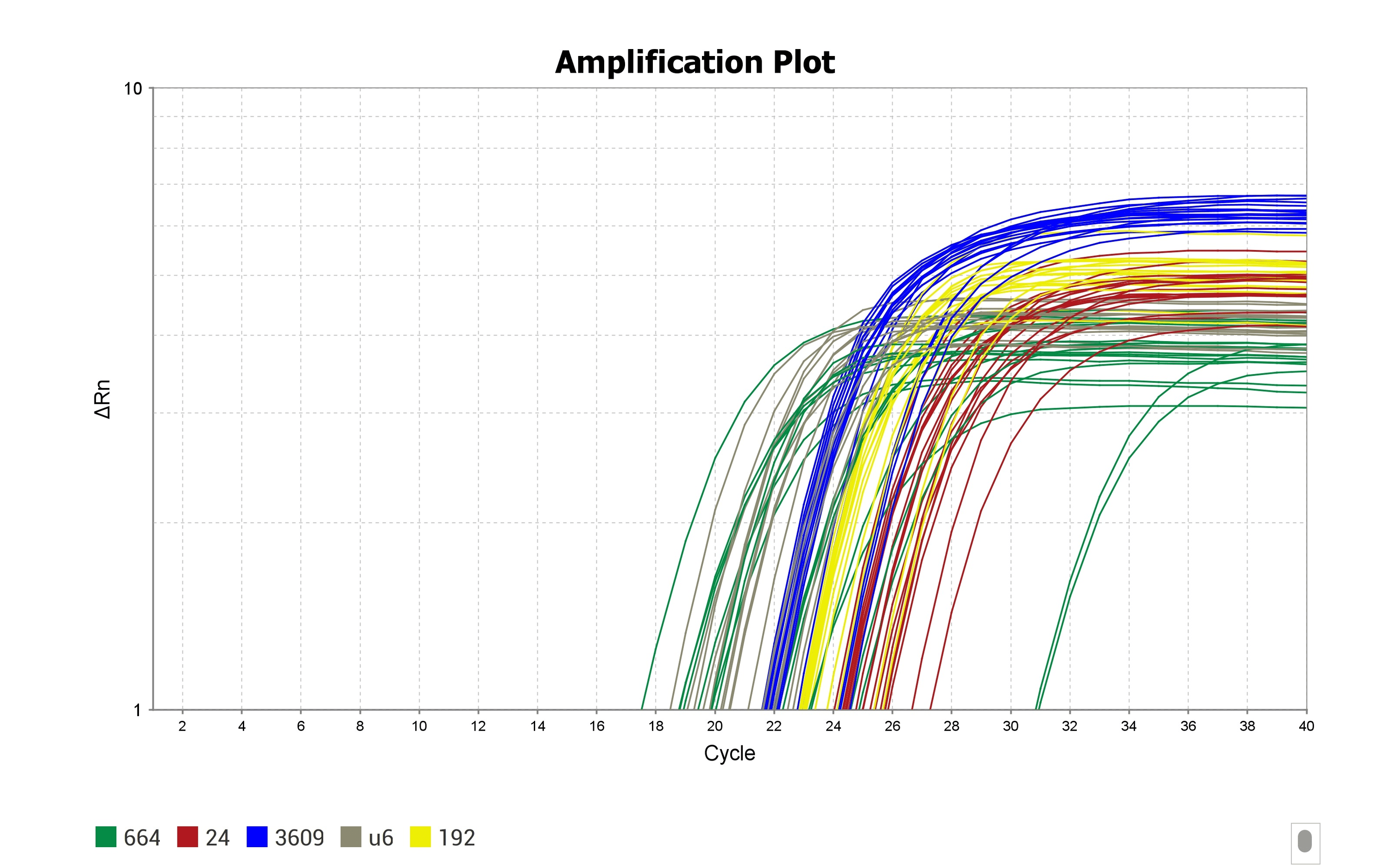 The Role of Circulating MicroRNAs in the Prediction of Response to