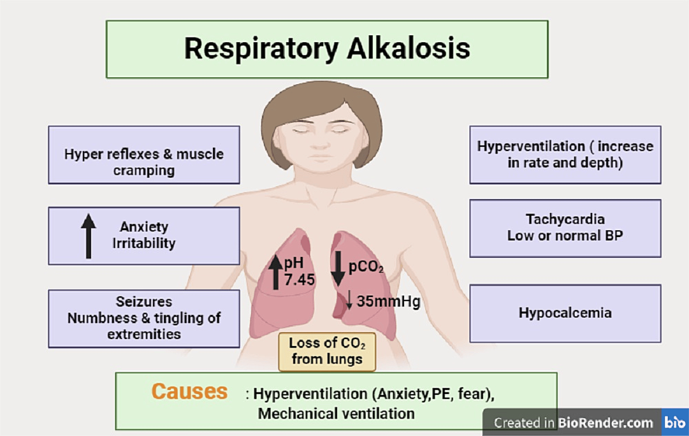 Cureus | Hyperventilation Syndrome And Hypocalcemia: A Unique Case In ...