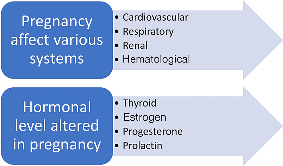 Cureus  Physiological Changes in Pregnant Women Due to Hormonal