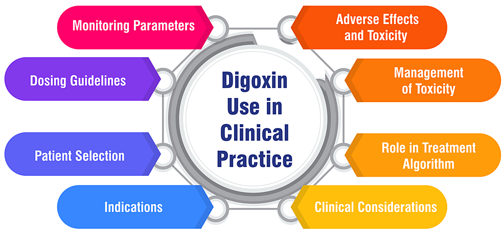 When a patient is experiencing 2025 digoxin toxicity which clinical situation