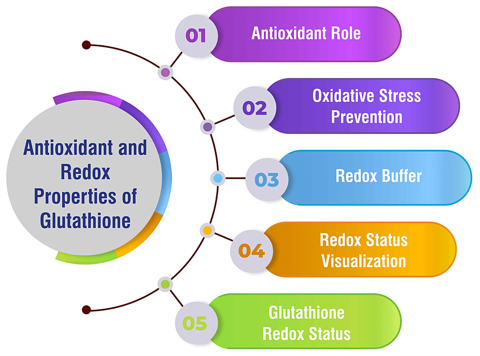 Cureus Unraveling the Multifaceted Role of Glutathione in Sepsis A