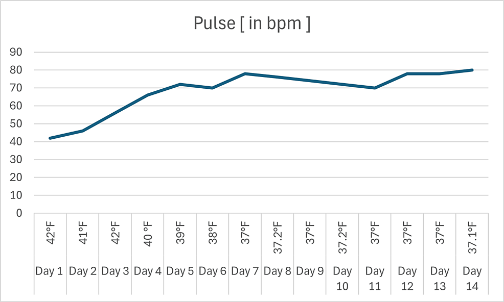 Enteric Fever Presenting With Complete Heart Block (CHB) A Rare Case
