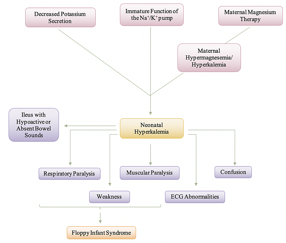 Cureus | Neuromuscular Junction Disorders And Floppy Infant Syndrome: A ...