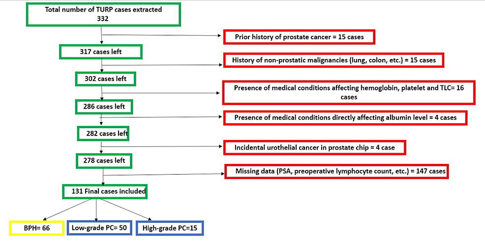 Summary-of-the-patient-selection-process
