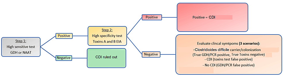 Cureus | Testing And Diagnosis Of Clostridioides Difficile Infection In ...