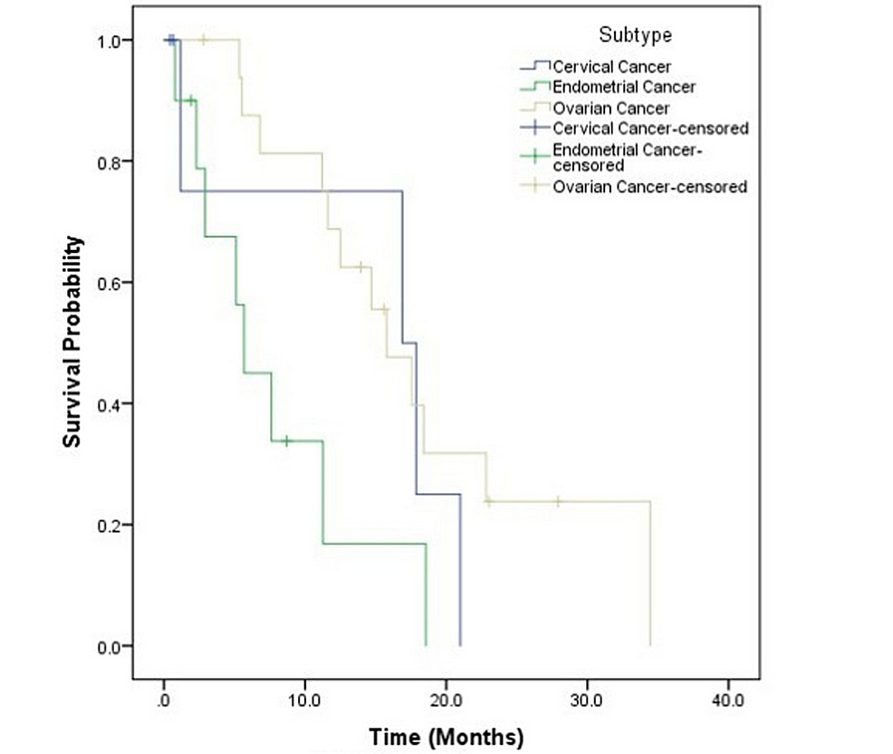Cureus Role of Gamma Knife® Radiosurgery for the Treatment of Brain