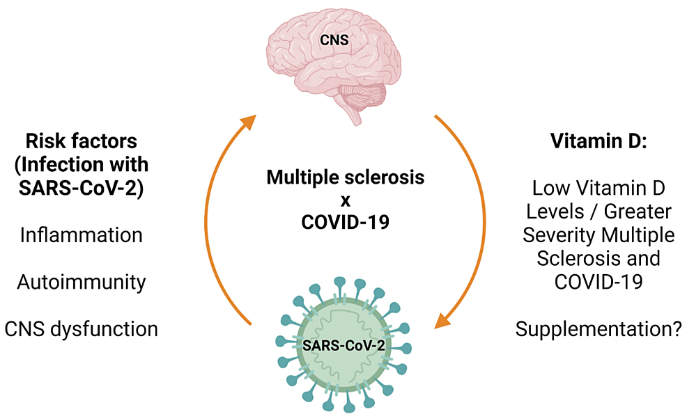 Main-Effects-of-the-COVID-19-Infection-on-Multiple-Sclerosis