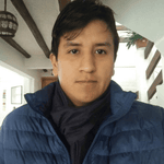 César A. Paltan Sr.