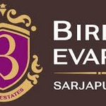 Birla Evara Jr.