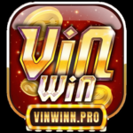Vinwin Pro