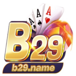 B29 Name