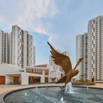 Prestige falcon M. City luxe Jr.