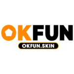 OKFUN Skin