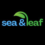 Sea And  Leaf