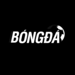 Bongda Lu