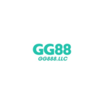 Gg Llc