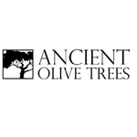 Ancient Olive  Trees