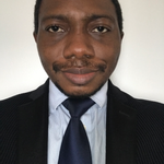 Olushola O. Ogunleye