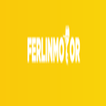 Ferlin  Motor