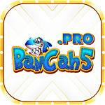 Bancah5. Pro
