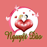 Appnguyetdao Com