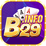 B29 Info