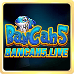 Bancah5 Live1