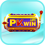 PKWIN PKWIN