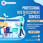 Web development services In Noida (vidhyant infosystems)