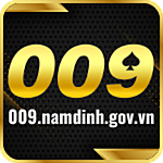 009nam Dinhgovvn