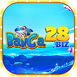Banca28 Biz